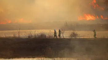 Enigmele flăcărilor urbane: Delta Urbană Văcărești și secretele incendiilor care marchează generații