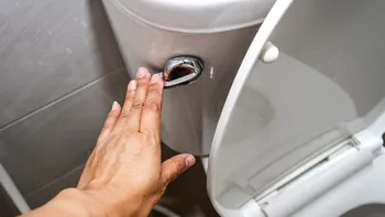 Trebuie să tragi apa vasului de toaletă cu capacul închis sau deschis? Descoperirea experților care acum vin cu o teorie surprinzătoare