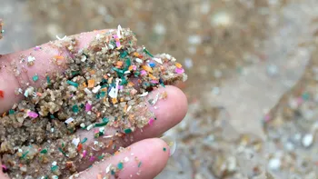 Plasticul a fost găsit într-un loc unde n-ar trebui să existe: Semnalul de alarmă al cercetătorilor