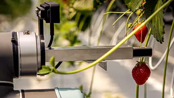 Roboții ne iau locurile de muncă: Un robot alimentat de AI face treaba oamenilor în această fermă VIDEO