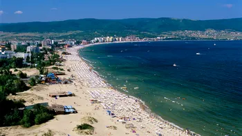 Vechii greci aveau oroare pentru pește. De ce se numește Marea Neagră „neagră”