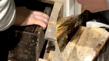 Descoperirea uimitoare a unei femei sub podeaua casei. „Cutie metalică ruginită, o capsulă a timpului