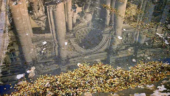 Unde merg banii aruncați de români în Fontana di Trevi de la Roma, de fapt. Ce se întâmplă cu monedele menite să îndeplinească dorințe