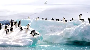Cărui stat aparține Antarctica, de fapt, și care este miza pentru această zonă