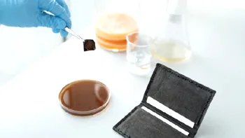 Pielea ecologică care se vopsește singură. Cum au reușit oamenii de știință minunea, cu ajutorul unei bacterii