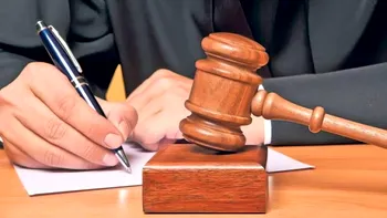 Cum deschizi un ONG în România - ghid complet. Câte tipuri există, ce documente ai nevoie, care sunt pași din spatele unei organizații non-guvernamentale