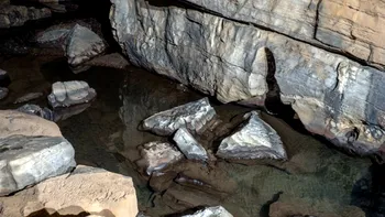 Creatura descoperită într-o peșteră din China ar putea rezolva misterele evoluției. De ce a fascinat cercetătorii