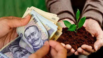 Planta care îmbogățește românii și cu 30.000 de euro la hectar. Atrage tot mai mulți agricultori din România