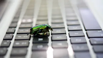 Primul bug din istorie: Povestea termenului născut acum 73 de ani
