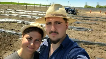 Afacerea ”din împrumut” cu care au dat lovitura doi români. Daniel și Claudia muncesc pentru ei și vând cu 20 de lei kilogramul