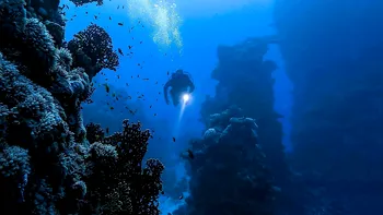 Creaturi cu aspect extraterestru, observate pentru prima dată în cele mai întunecate adâncuri ale oceanului