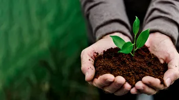 Un îngrășământ vital pentru agricultura mondială, vinovat pentru încălzirea globală