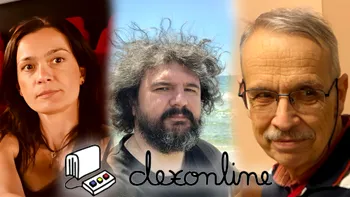 INTERVIU Dexonline.ro - comunitatea de voluntari care ne ajută să vorbim și să scriem corect în limba română