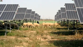 Energie ieftină în România - ce șanse sunt să scadă factură la curent. Ce ar trebui să facă Guvernul, soluțiile bune din Occident