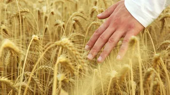 Agricultura românească, în pragul colapsului: Cea mai severă criză de până acum, comparabilă cu criza imobiliară din 2008