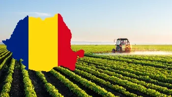 Scumpiri din cauza caniculei: Ce anunță fermierii din România