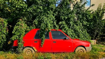 De luni, 19 august, începe o nouă etapă Rabla Plus. Ce sume sunt alocate. Ghid complet pentru românii care vor o mașină nouă