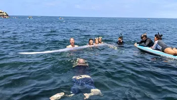 O creatură marină rară și misterioasă, considerată un semn al dezastrelor iminente, descoperită în apele californiene. Șarpele de Mare, observat doar de 20 de ori în 125 de an