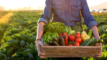 Paradoxul prețurilor alimentelor: Scăderi de prețuri în timpul recoltelor slabe
