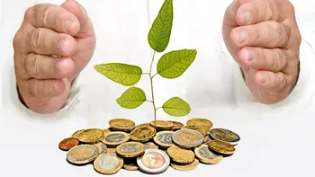 Românii și vânătoarea de credite ipotecare. De ce au explodat împrumuturile de la bănci în 2024, s-au dublat într-un an