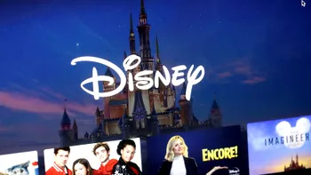 Proces împotriva Disney World în urma unui deces cauzat de alergii: Avocații susțin că termenii Disney+ blochează accesul la justiție