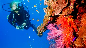 Poți înota în ocean dacă ești alergic la fructe de mare? Ce spune știința