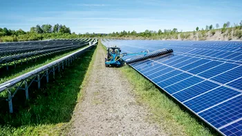 Plante cultivate cu ajutorul panourilor solare: O soluție durabilă și profitabilă
