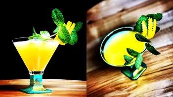 Cum faci un cocktail original cu coniac și Lillet, Becherovka și soc, un fel Cognac Sour, dar diferit