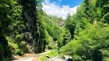 Drumul Regelui, cel mai nou traseu auto pentru iubitorii de natură din România. Investiția de 42 de milioane de euro pentru modernizarea DJ 707