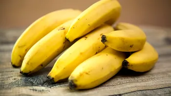 O nouă metodă transformă deșeurile de banane în textile ecologice și energie