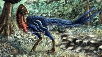 Un student din Oklahoma a descoperit o nouă specie de dinozaur