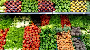 Plafonarea prețurilor la alimente, o lovitură surprinzătoare pentru buzunarul românilor. Ce se va întâmpla pe rafturile din Kaufland, Lidl sau Mega Image, dar la producție