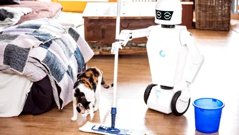 De ce roboții de uz casnic încă nu sunt la înălțime?