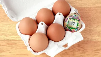 Noul Tamagotchi este făcută din coji de ouă reale: Jucăria copilăriei noastre revine cu un design ecologic