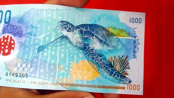 Bancnota care a înnebunit internetul: ce are atât de special hârtia de 1.000 de rufiyaa și ce țară a transformat banii în artă