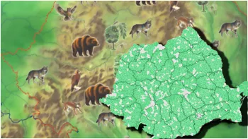 Cele mai populare rase de animale care trăiesc în munții din România. Cum s-au răspândit în țara noastră