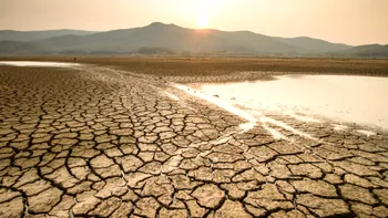 Avertisment sumbru pentru agricultură: Europa riscă să rămână fără terenuri arabile până în 2050