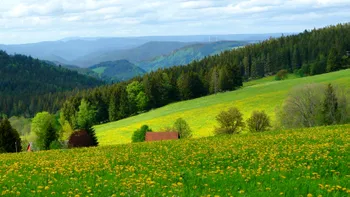 Județul din România care stă pe o comoară. Este printre cele mai sărace din țară, dar putea hrăni peste două milioane de români cu ușurință