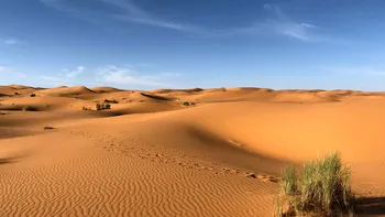 Cum a secat Deșertul Sahara: de la paradisul verde de acum 10.000 de ani la cea mai aridă suprafață de pe Terra din prezent
