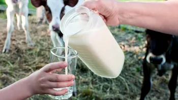 Este laptele crud sigur pentru consum? Ce spune cu adevărat știința despre consumul acestuia nepasteurizat