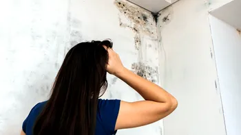 4 lucruri pe care trebuie să le elimini din casă ca să previi mucegaiul și umezeala, potrivit experților