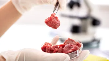 Carnea cultivată în laborator, subiect de dispute în Europa: Statele pro și contra