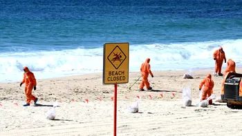 Sfere misterioase au apărut pe o plajă din Australia, specialiștii avertizează asupra unei posibile contaminări
