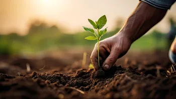Criza agricolă din România: Semnal de alarmă pentru viitor