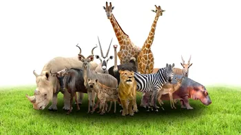 Cel mai periculos animal din lume nu este cel la care te aștepți
