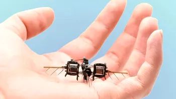 Albina robotizată funcționează ca o mini dronă și este uimitor de agilă. Are greutatea unei stafide