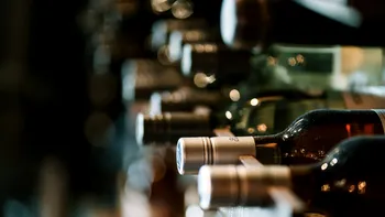 Animalul de companie care poate consuma 20 de litri de alcool fără să i se facă rău. Sute de români îl țin în propriile locuințe