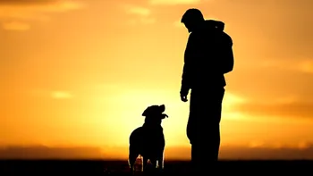 Câte minute trebuie plimbat câinele în funcție de vârstă, pentru a-i proteja sănătatea, conform veterinarilor
