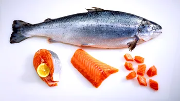 Peștele considerat cel mai toxic din lume, consumat și de români: Bogat în Omega-3 și alți nutrienți, dar o problemă alimentară numită somonul norvegian