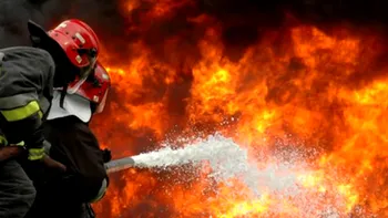 O familie a rămas fără casă după ce un incendiu puternic a avut loc la Crevedia, lângă stația GPL care a explodat în 2023